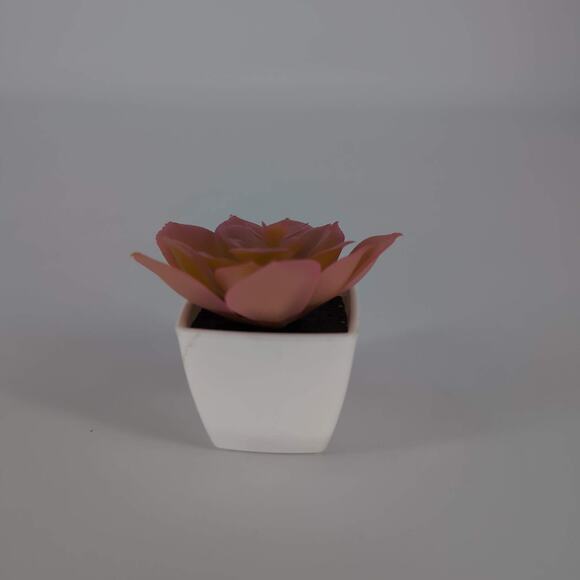 Mini Fake Faux Artificial Pink Succulent Potted Plant in Plastic White Pot - GUC - Picture 5 of 10